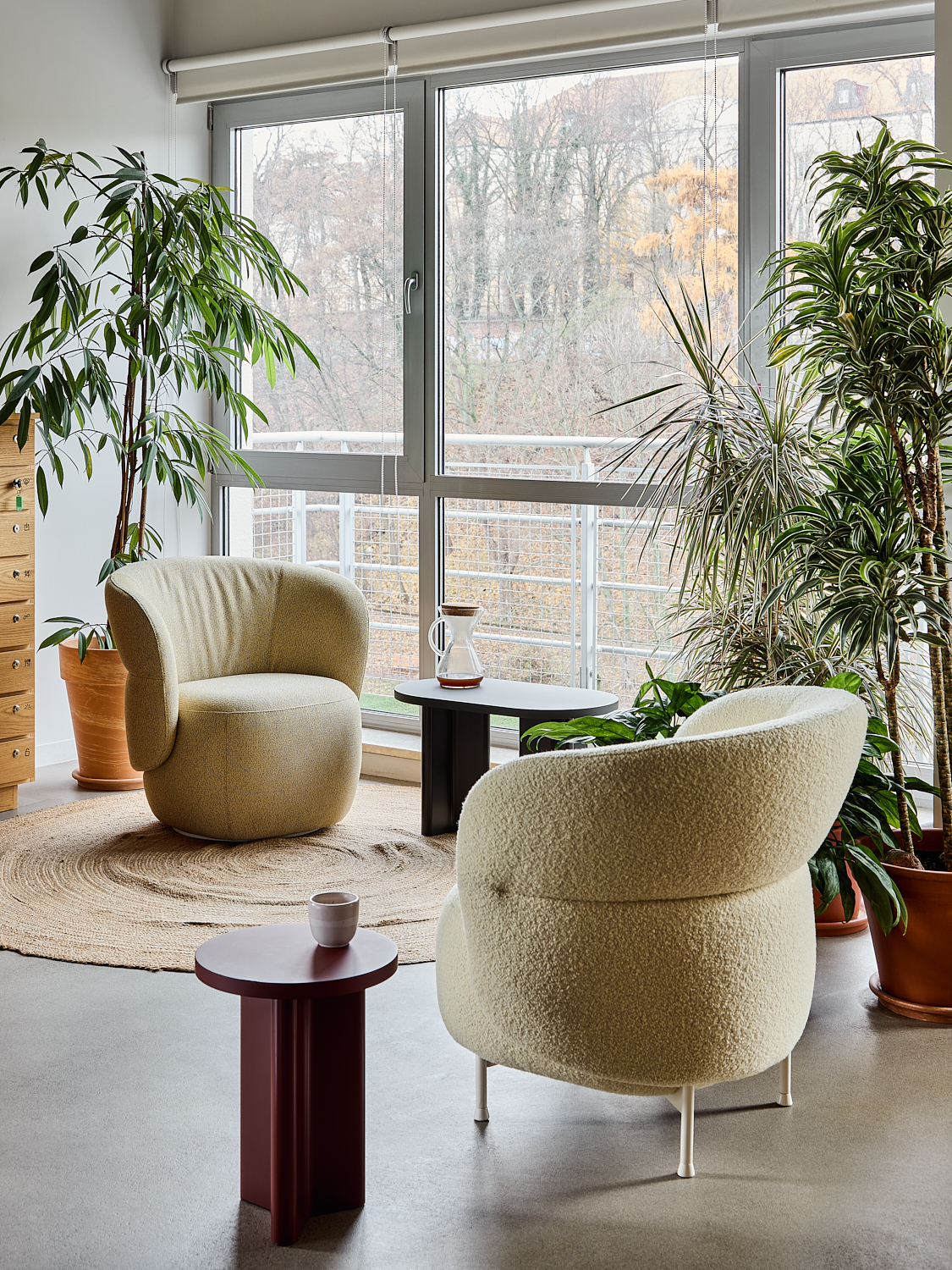 cactus-interior11.jpg